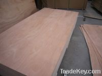Sell all kinds of plywood