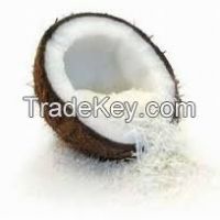 coconut powder, coconut milk, coconut oil, dessicated coconut, coconut shell powder