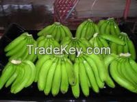 Green banana, banana products, banana flour, banana meal, green banana