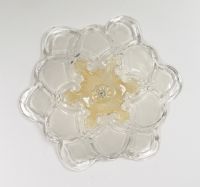 Sell Glass Ceiling Lamp
