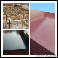 black film faced plywood for construction