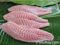 Sell Frozen Fish Red drum (Sciaenops ocellatus)