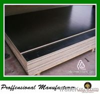 Sell Black film faced plywood, construction plywood