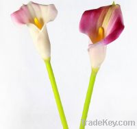 Sell real touch calla lily