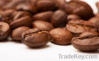 Export Coffee Beans | Arabica Coffee Beans Suppliers | Robusta Coffee Beans Exporters | Coffee Bean Traders | Wholesale Coffee Beans | Buy Coffee Beans | Bulk Coffee Bean | Green Coffee Bean Buyer | Low Price Roasted Coffee Bean | Import Coffee Bean | Cof