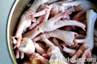 Export Chicken Paw | Chicken Feet Suppliers | Poultry Feet Exporters | Chicken Feets Traders | Processed Chicken Paw Buyers | Frozen Poultry Paw Wholesalers | Low Price Freeze Chicken Paw | Best Buy Chicken Paw | Buy Chicken Paw | Import Chicken Paw | Chi