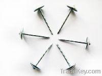 Sell roofing nails with umbrella head