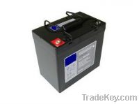 Sell 12V55AH lead acid battery