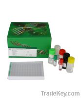 Sell Human Elisa Kit for research use