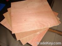 Sell packaging plywood