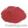 Sell Red Beet Root Powder Extract