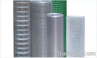 Sell Welded Wire Mesh