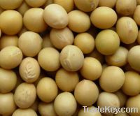 Sell  Soybean Isoflavones