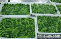Sell forzen spinach