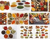 spices, pepper, black pepper, white pepper, pepper powder, black pepper powder, Chilli Powder, chlorine powder , tumeric powder, Thyme Leave