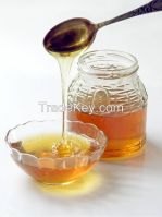 100% organic Honey, Manuka Honey, Natural Honey, jujube honey, cactus honey, polyfloral honey, , 