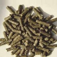 Sugar beet pellets, beetpulp pellet grade AA