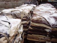 donkey hides, cow hides, sheep hide, goat hide, wet salted and dry salted