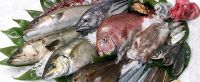 emperor, rohu, catfish, red snapper