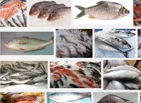 queenfish, fish, fish, salmon, tuna, mackerel, tilapia