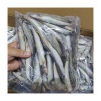 Frozen Capelin fish for Sale