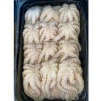 frozen baby Octopus 300g+