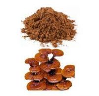 Red Reishi Mushroom Powder