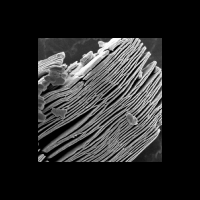 Ti3C2Tx MXene (multilayer nanoflakes)