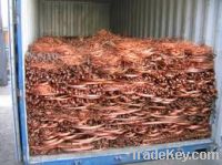 Copper Wire Scraps Suppliers | Copper Scrap Exporters | Copper Scrap Manufacturers | Cheap Copper Scrap | Wholesale Copper Scraps | Discounted Copper Scrap | Bulk Copper Scraps | Copper Scrap Buyer | Import Copper Scrap | Copper Scrap Importers | Copper S