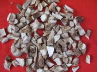 Sell Air-Dired Champignon Mushroom Umbrella Cubes(D)