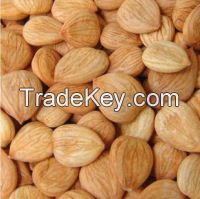 almond nut