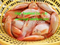 Sell Red Tilapia Whole Round