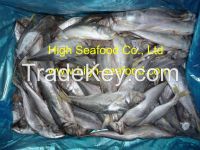 Sell Horse Mackerel