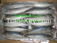 Sell Mackerel