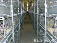 Sell Cage Equipment For Broilers Growing
