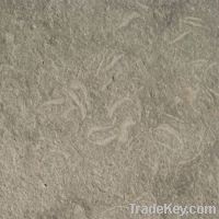 Sell Seagrass (Rustic Green) Limestone