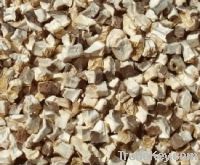 Sell Dried Mushroom