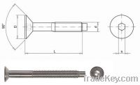 Sell Hex socket flat head furniture screw with pilot partially thread