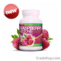 sell Raspberry ketones plus