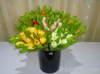 Sell artificial flower (12 small head of tulips)