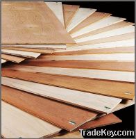 Commercial Plywood (Best Quality)
