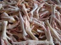 Export Chicken Paw | Chicken Feet Suppliers | Poultry Feet Exporters | Chicken Feets Traders | Processed Chicken Paw Buyers | Frozen Poultry Paw Wholesalers | Low Price Freeze Chicken Paw | Best Buy Chicken Paw | Buy Chicken Paw | Import Chicken Paw | Chi