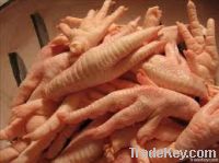 Export Chicken Paw | Chicken Feet Suppliers | Poultry Feet Exporters | Chicken Feets Traders | Processed Chicken Paw Buyers | Frozen Poultry Paw Wholesalers | Low Price Freeze Chicken Paw | Best Buy Chicken Paw | Buy Chicken Paw | Import Chicken Paw | Chi