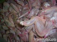 Export Chicken Paw | Chicken Feet Suppliers | Poultry Feet Exporters | Chicken Feets Traders | Processed Chicken Paw Buyers | Frozen Poultry Paw Wholesalers | Low Price Freeze Chicken Paw | Best Buy Chicken Paw | Buy Chicken Paw | Import Chicken Paw | Chi