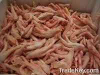 Export Chicken Paw | Chicken Feet Suppliers | Poultry Feet Exporters | Chicken Feets Traders | Processed Chicken Paw Buyers | Frozen Poultry Paw Wholesalers | Low Price Freeze Chicken Paw | Best Buy Chicken Paw | Buy Chicken Paw | Import Chicken Paw | Chi