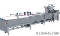 Sell Automatic Chocolate Packing Machine TB-500A