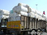 Sell Yarn Waste-India