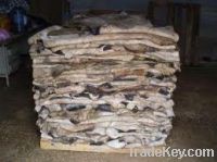 Sell Wet and Dry salted cow hides