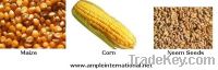  Maize | Maize Exporter | Corn Grain Seller | Maize Buyer | Bulk Maize Grain Importer | Corn bean Buyer | Corn bean Wholesaler | Corn Grain Manufacturer | Best Quality Corn Grain | Cheap Maize Supplier | Low Price Corn | Yellow Corn | White Cron | Baby Ma