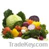 Fresh Vegetables